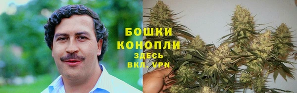 шишки Беломорск