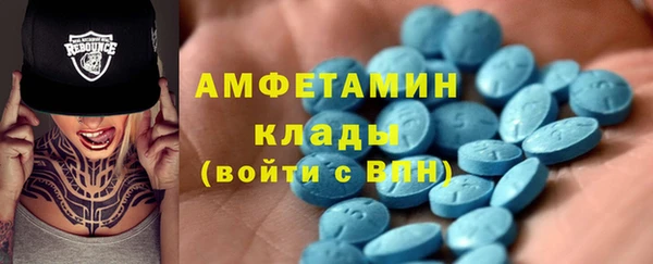 шишки Беломорск
