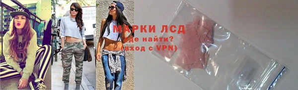 шишки Беломорск