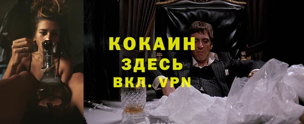 кокс Белокуриха