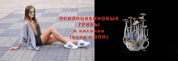 кокс Белокуриха