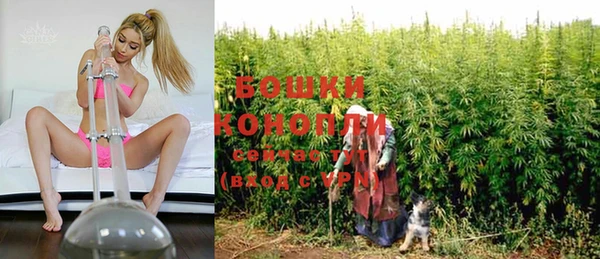 кокс Белокуриха