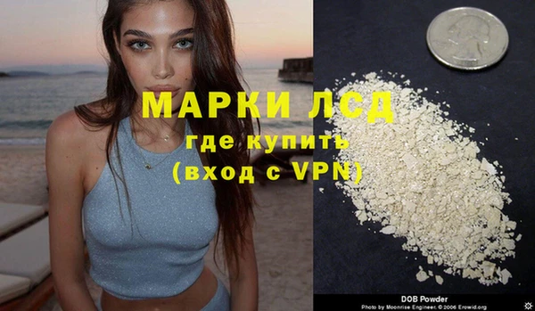 шишки Беломорск