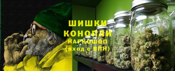 шишки Беломорск