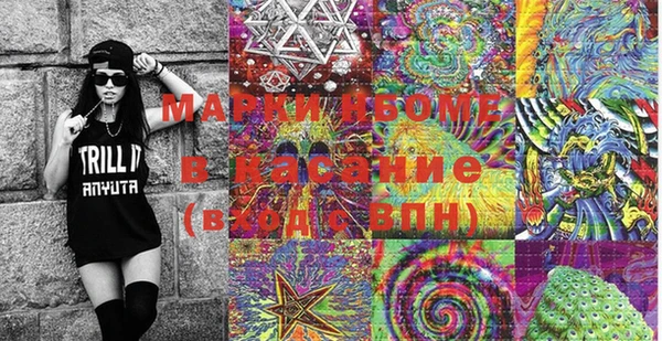 шишки Беломорск