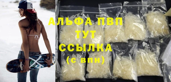 шишки Беломорск