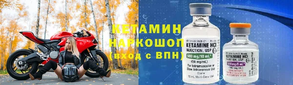 шишки Беломорск