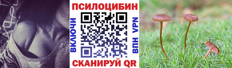 Галлюциногенные грибы MAGIC MUSHROOMS  Новая Ладога 